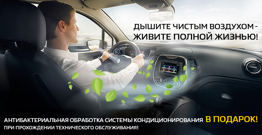 Дышите чистым воздухом — живите полной жизнью!
