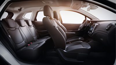 Interior Kaptur